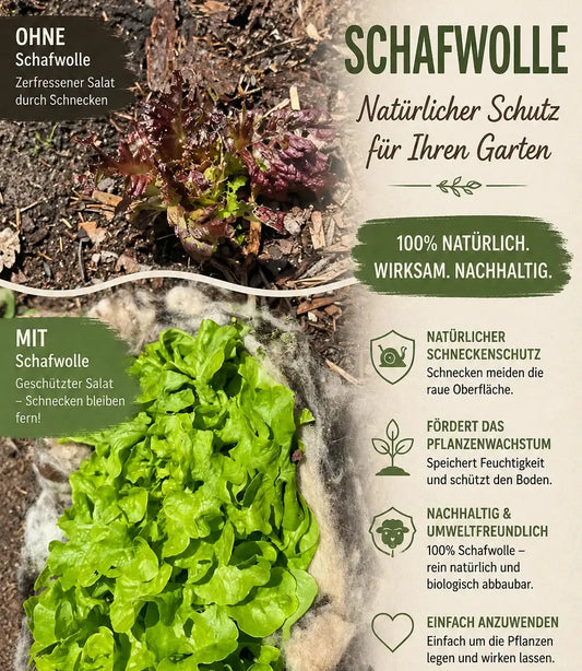 Naturbelassene Schafwolle – gereinigt & entstaubt  Gerberei Birke Fellshop