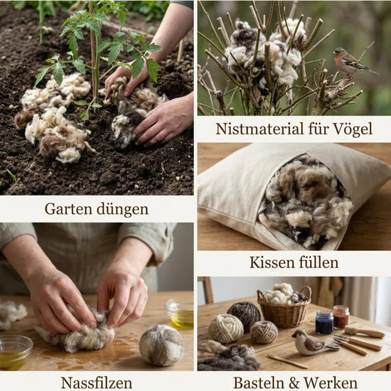 200g naturbelassene Schafwolle – gereinigt & entstaubt  Gerberei Birke Fellshop
